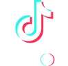 Home TikTok
